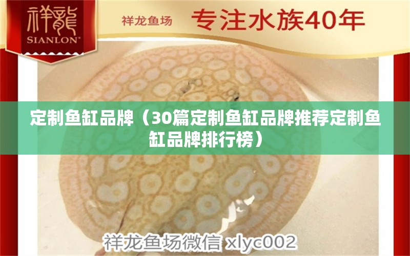 定制鱼缸品牌（30篇定制鱼缸品牌推荐定制鱼缸品牌排行榜） 鱼缸百科 第2张