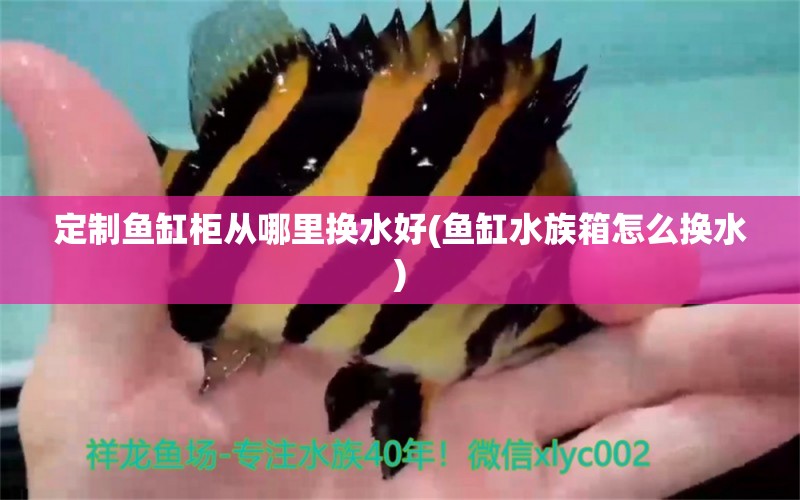 定制鱼缸柜从哪里换水好(鱼缸水族箱怎么换水)