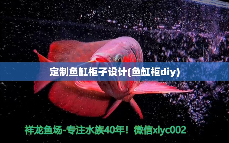 定制鱼缸柜子设计(鱼缸柜diy) 森森鱼缸