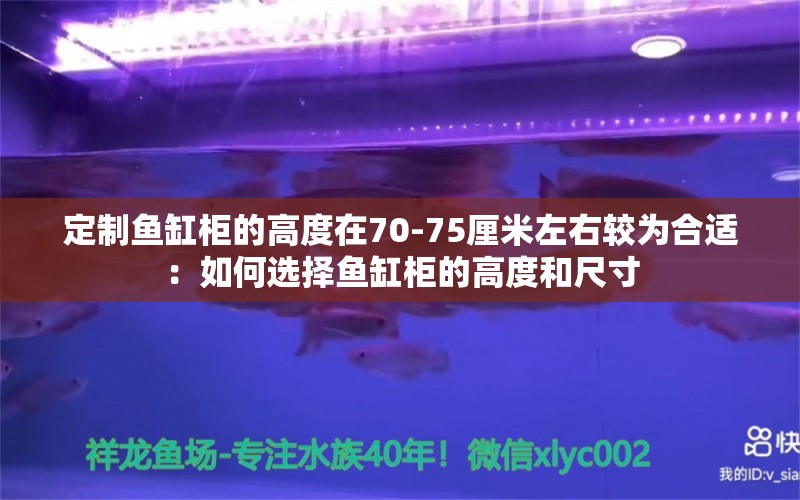 定制鱼缸柜的高度在70-75厘米左右较为合适：如何选择鱼缸柜的高度和尺寸 鱼缸百科 第2张