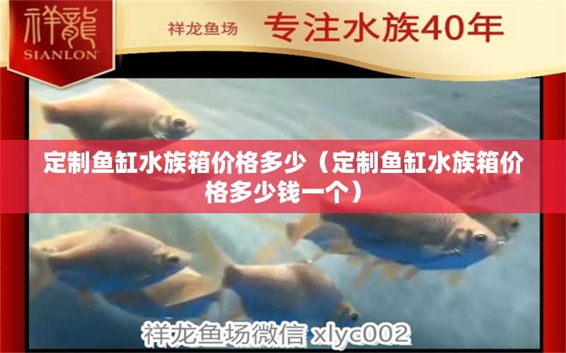 定制鱼缸水族箱价格多少（定制鱼缸水族箱价格多少钱一个） 鱼缸/水族箱