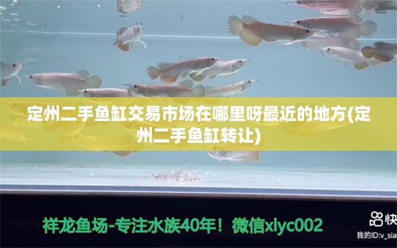 定州二手鱼缸交易市场在哪里呀最近的地方(定州二手鱼缸转让) 黄鳍鲳鱼