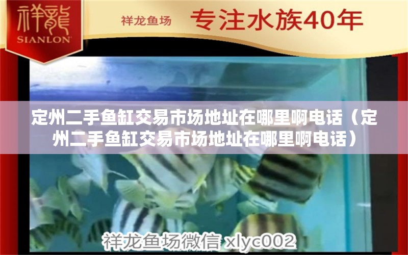 定州二手鱼缸交易市场地址在哪里啊电话（定州二手鱼缸交易市场地址在哪里啊电话） 三间鼠鱼苗