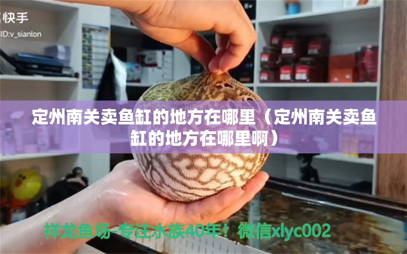 定州南关卖鱼缸的地方在哪里（定州南关卖鱼缸的地方在哪里啊） 观赏鱼市场（混养鱼）