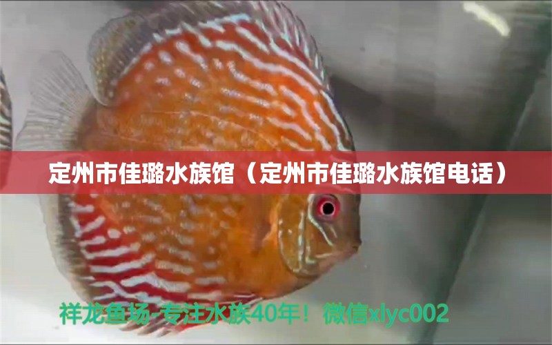 定州市佳璐水族馆（定州市佳璐水族馆电话）