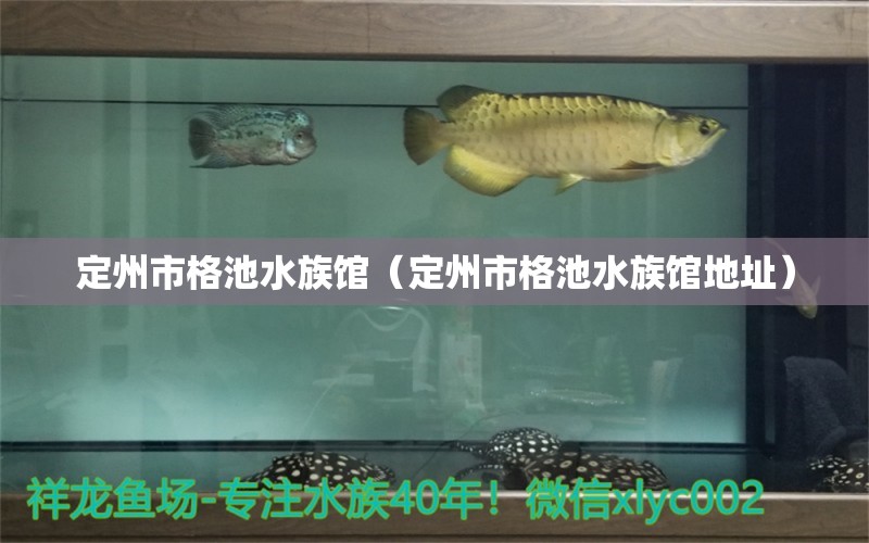 定州市格池水族馆（定州市格池水族馆地址）