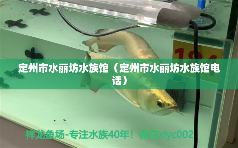 定州市水丽坊水族馆（定州市水丽坊水族馆电话） 全国水族馆企业名录