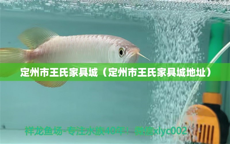 定州市王氏家具城（定州市王氏家具城地址） 全国水族馆企业名录