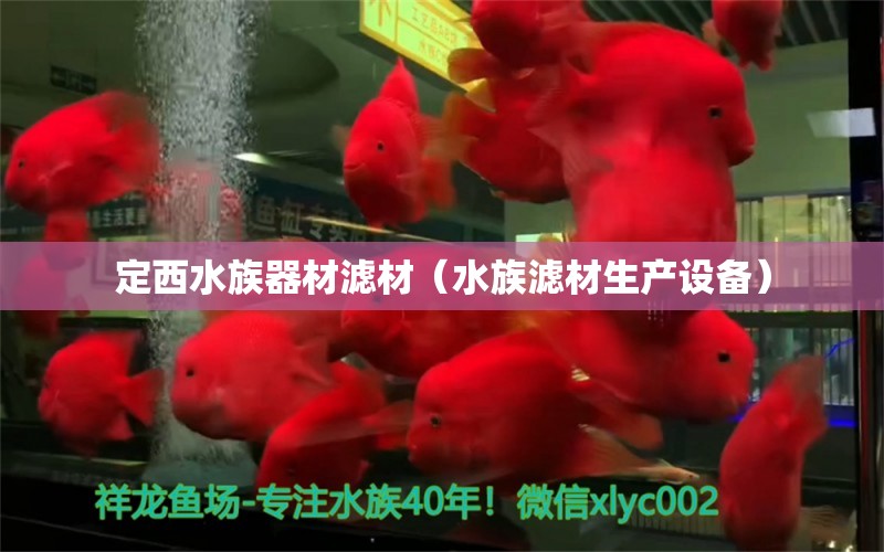 定西水族器材滤材（水族滤材生产设备） 古典过背金龙鱼 第1张