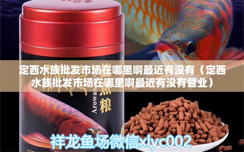 定西水族批发市场在哪里啊最近有没有（定西水族批发市场在哪里啊最近有没有营业）