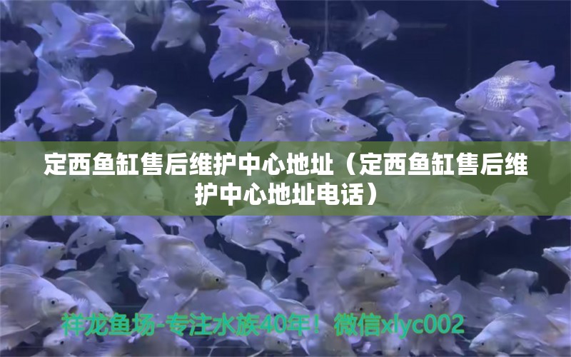 定西鱼缸售后维护中心地址（定西鱼缸售后维护中心地址电话）