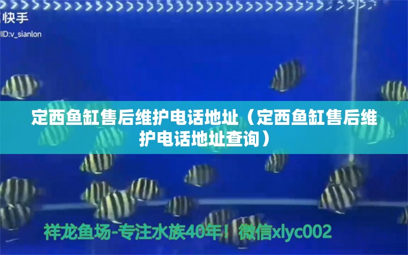 定西鱼缸售后维护电话地址（定西鱼缸售后维护电话地址查询） 其他品牌鱼缸