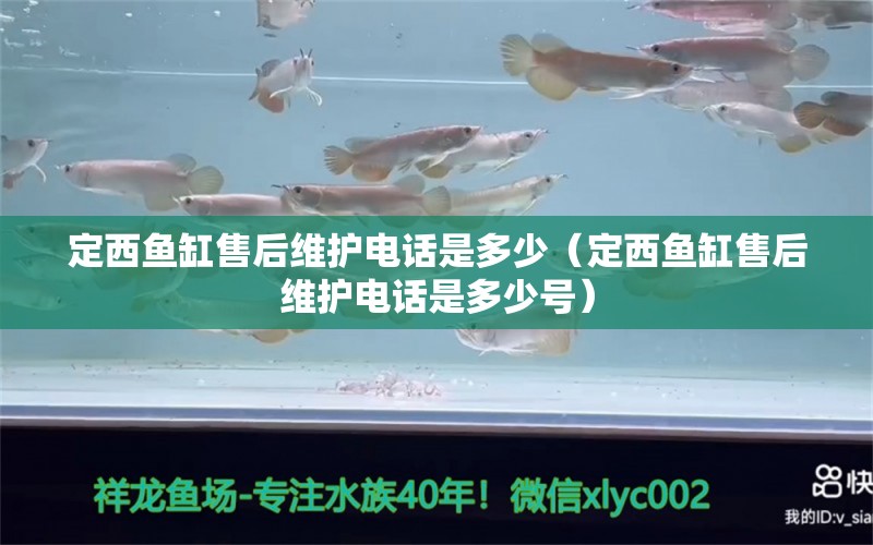 定西鱼缸售后维护电话是多少（定西鱼缸售后维护电话是多少号）