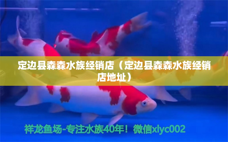 定边县森森水族经销店（定边县森森水族经销店地址）