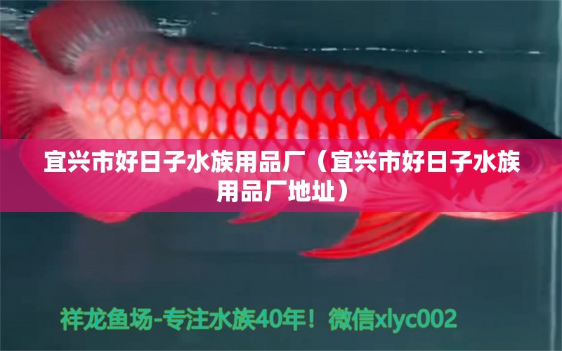 宜兴市好日子水族用品厂（宜兴市好日子水族用品厂地址） 水族用品