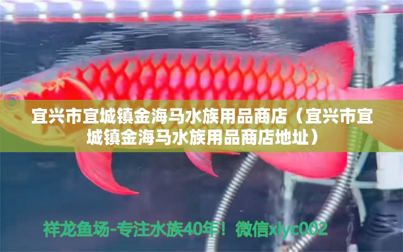 宜兴市宜城镇金海马水族用品商店（宜兴市宜城镇金海马水族用品商店地址）