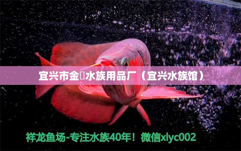 宜兴市金鱚水族用品厂（宜兴水族馆）