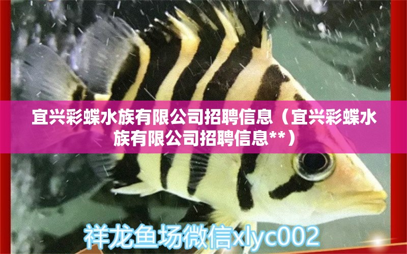 宜兴彩蝶水族有限公司招聘信息（宜兴彩蝶水族有限公司招聘信息**）