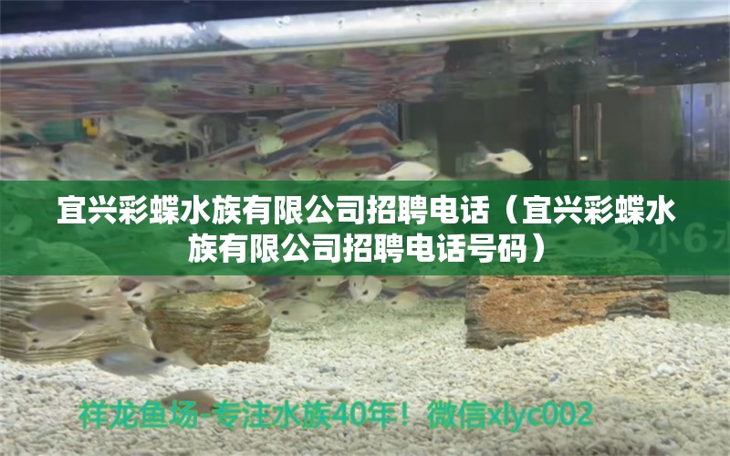 宜兴彩蝶水族有限公司招聘电话（宜兴彩蝶水族有限公司招聘电话号码）