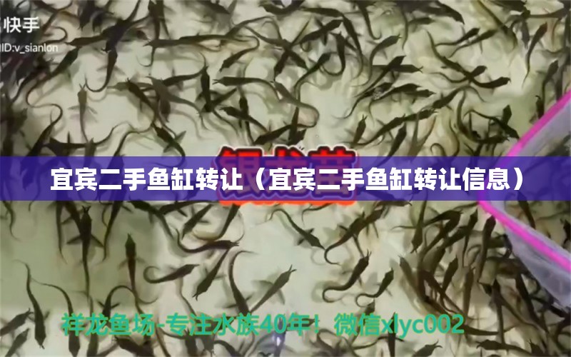 宜宾二手鱼缸转让（宜宾二手鱼缸转让信息） 祥龙水族医院