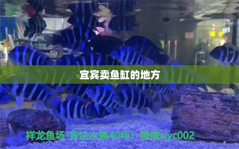 宜宾卖鱼缸的地方 其他品牌鱼缸