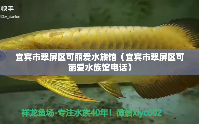 宜宾市翠屏区可丽爱水族馆（宜宾市翠屏区可丽爱水族馆电话）