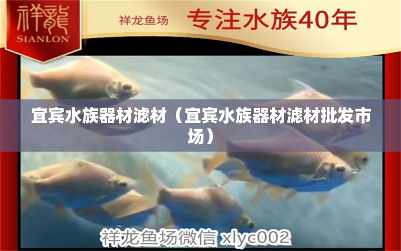 宜宾水族器材滤材（宜宾水族器材滤材批发市场） 广州水族器材滤材批发市场