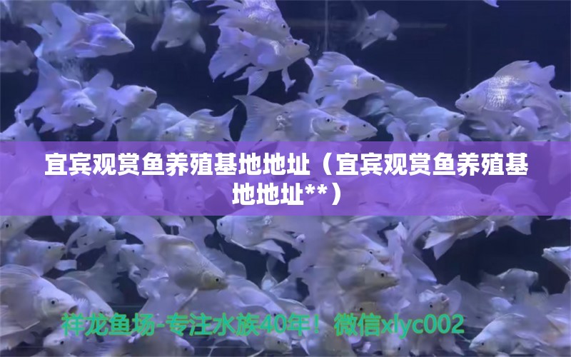 宜宾观赏鱼养殖基地地址（宜宾观赏鱼养殖基地地址**） 祥龙水族医院