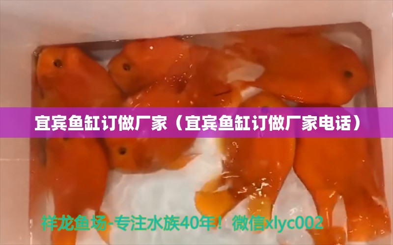 宜宾鱼缸订做厂家（宜宾鱼缸订做厂家电话）