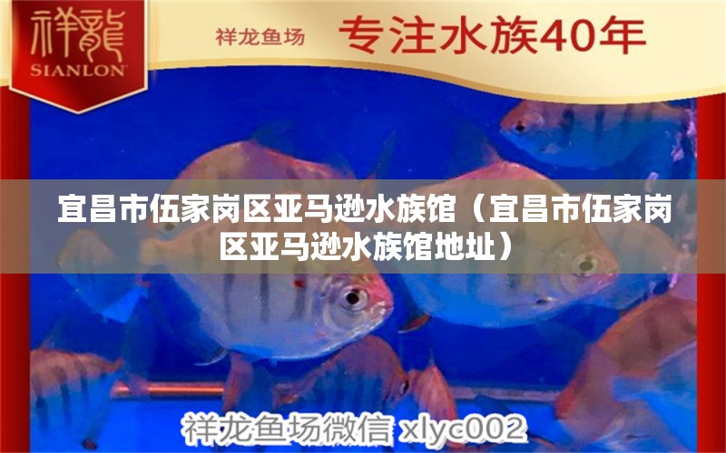 宜昌市伍家岗区亚马逊水族馆（宜昌市伍家岗区亚马逊水族馆地址）