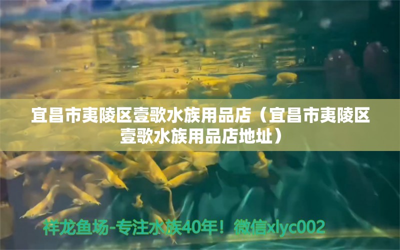 宜昌市夷陵区壹歌水族用品店（宜昌市夷陵区壹歌水族用品店地址）