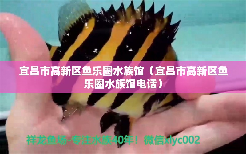 宜昌市高新区鱼乐圈水族馆（宜昌市高新区鱼乐圈水族馆电话）