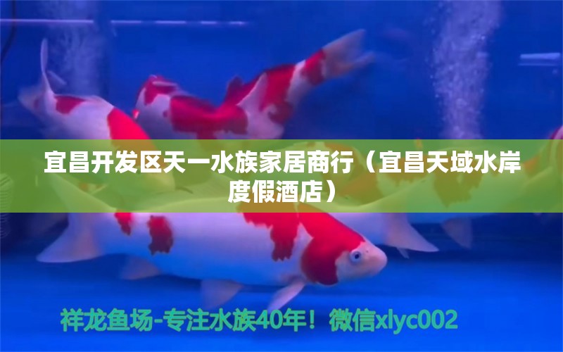 宜昌开发区天一水族家居商行（宜昌天域水岸度假酒店） 全国水族馆企业名录