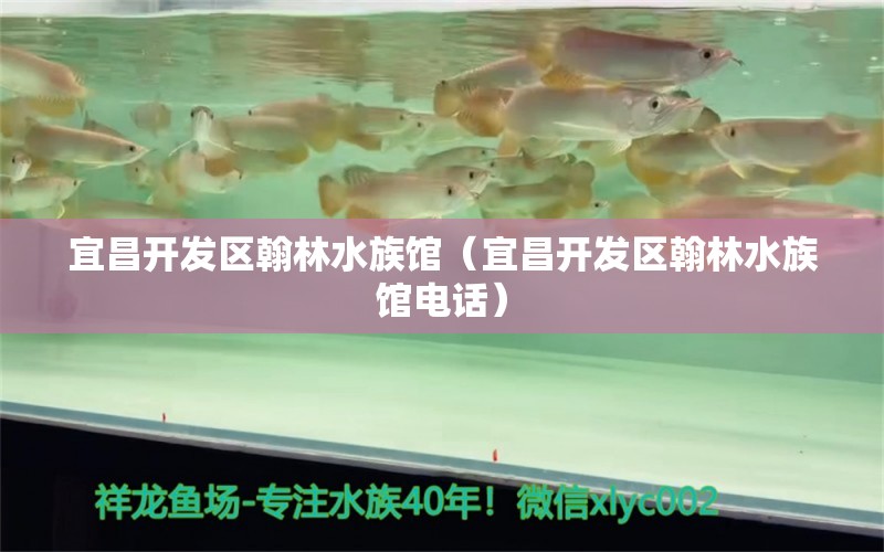 宜昌开发区翰林水族馆（宜昌开发区翰林水族馆电话）