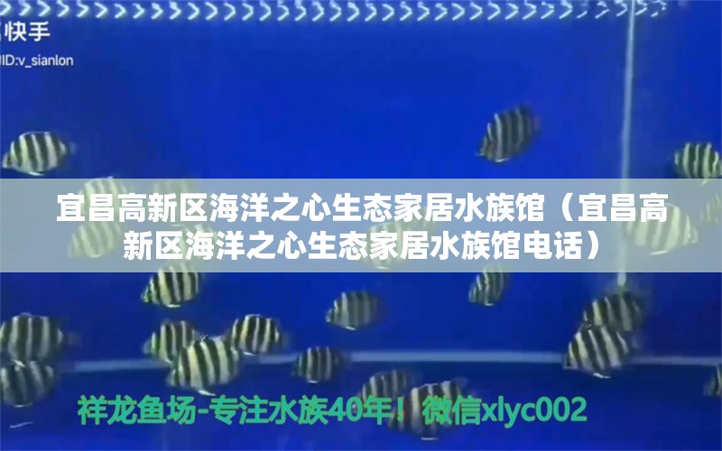 宜昌高新区海洋之心生态家居水族馆（宜昌高新区海洋之心生态家居水族馆电话）