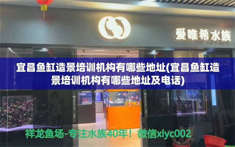 宜昌鱼缸造景培训机构有哪些地址(宜昌鱼缸造景培训机构有哪些地址及电话)