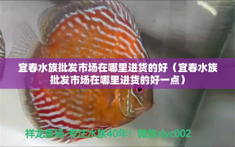 宜春水族批发市场在哪里进货的好（宜春水族批发市场在哪里进货的好一点）