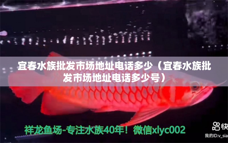 宜春水族批发市场地址电话多少（宜春水族批发市场地址电话多少号） 观赏鱼水族批发市场