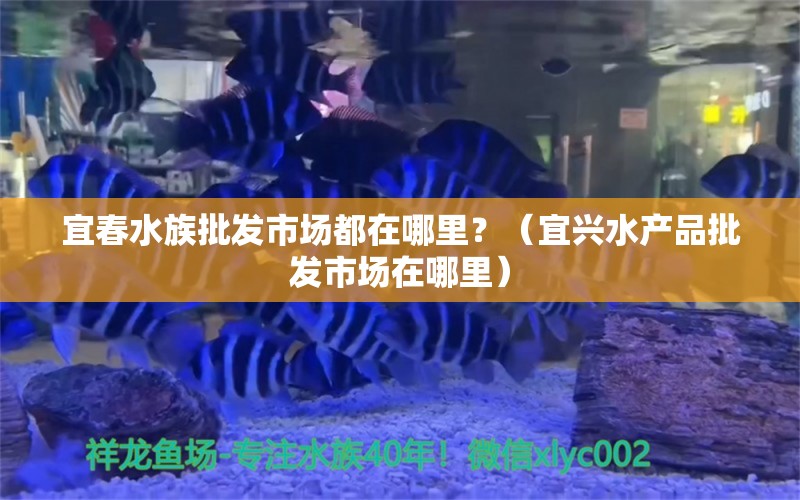 宜春水族批发市场都在哪里？（宜兴水产品批发市场在哪里）