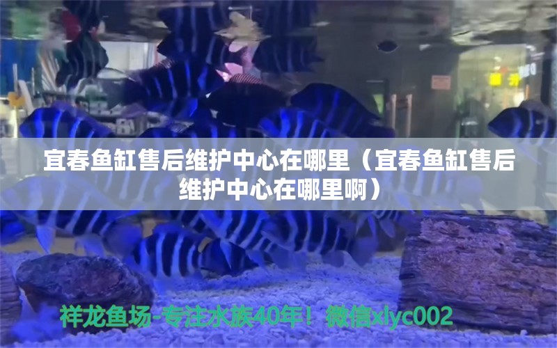 宜春鱼缸售后维护中心在哪里（宜春鱼缸售后维护中心在哪里啊）