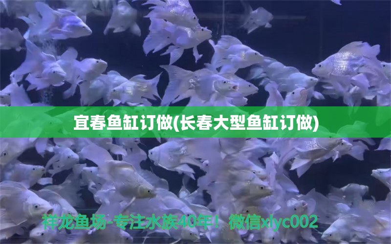 宜春鱼缸订做(长春大型鱼缸订做)