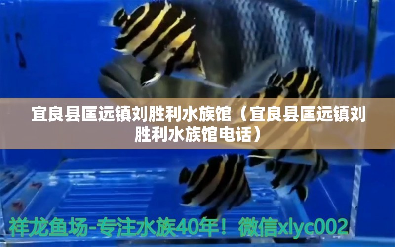 宜良县匡远镇刘胜利水族馆（宜良县匡远镇刘胜利水族馆电话） 全国水族馆企业名录