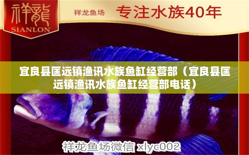 宜良县匡远镇渔讯水族鱼缸经营部（宜良县匡远镇渔讯水族鱼缸经营部电话）