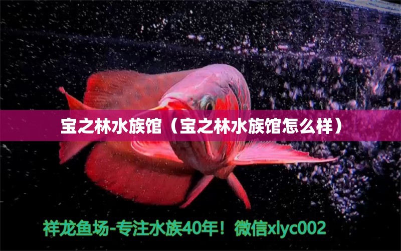 宝之林水族馆（宝之林水族馆怎么样）