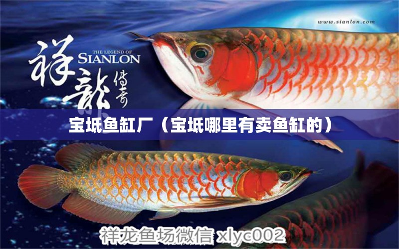 宝坻鱼缸厂（宝坻哪里有卖鱼缸的） 祥龙水族医院