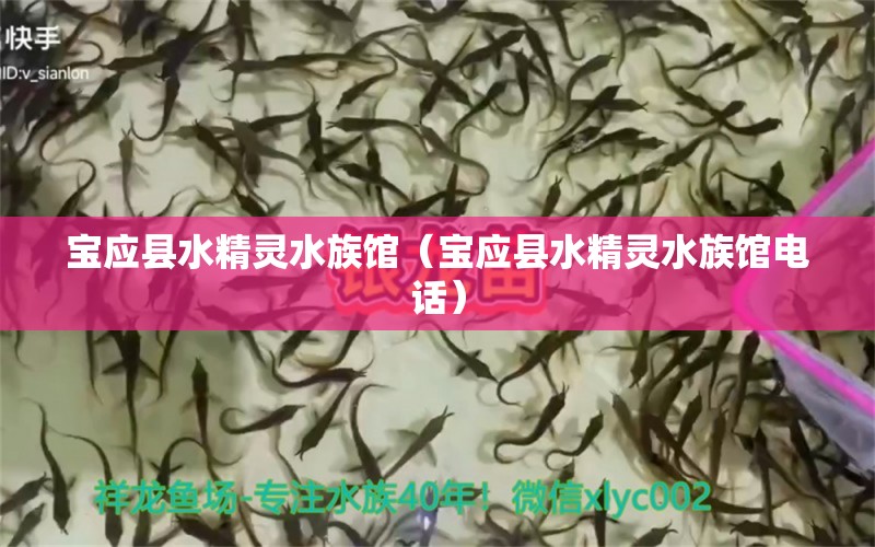 宝应县水精灵水族馆（宝应县水精灵水族馆电话） 全国水族馆企业名录