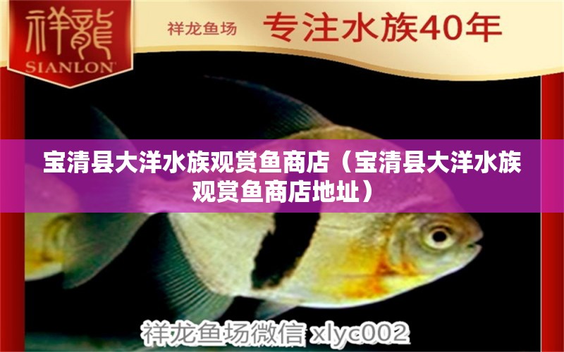 宝清县大洋水族观赏鱼商店（宝清县大洋水族观赏鱼商店地址） 全国水族馆企业名录