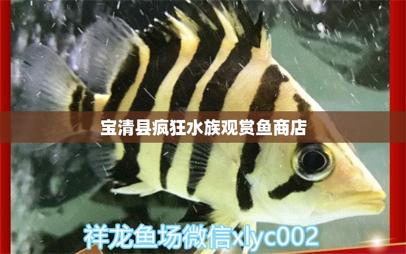 宝清县疯狂水族观赏鱼商店