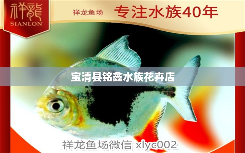 宝清县铭鑫水族花卉店 全国水族馆企业名录