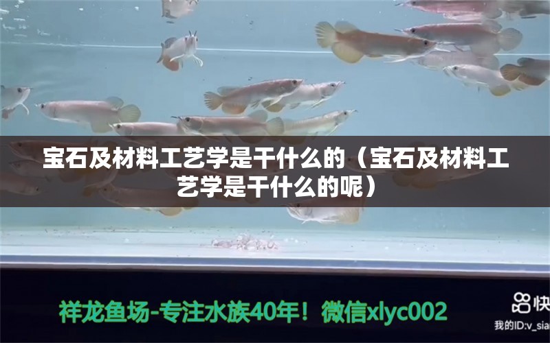 宝石及材料工艺学是干什么的（宝石及材料工艺学是干什么的呢） 文玩